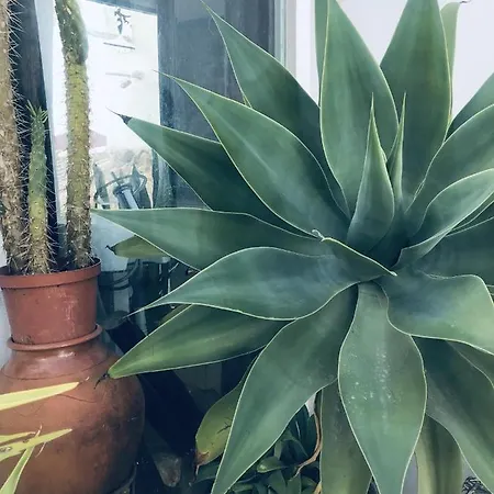 Sleeps 2 With Free Parking Mexilhoeira Grande